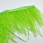 Перья страуса на ленте