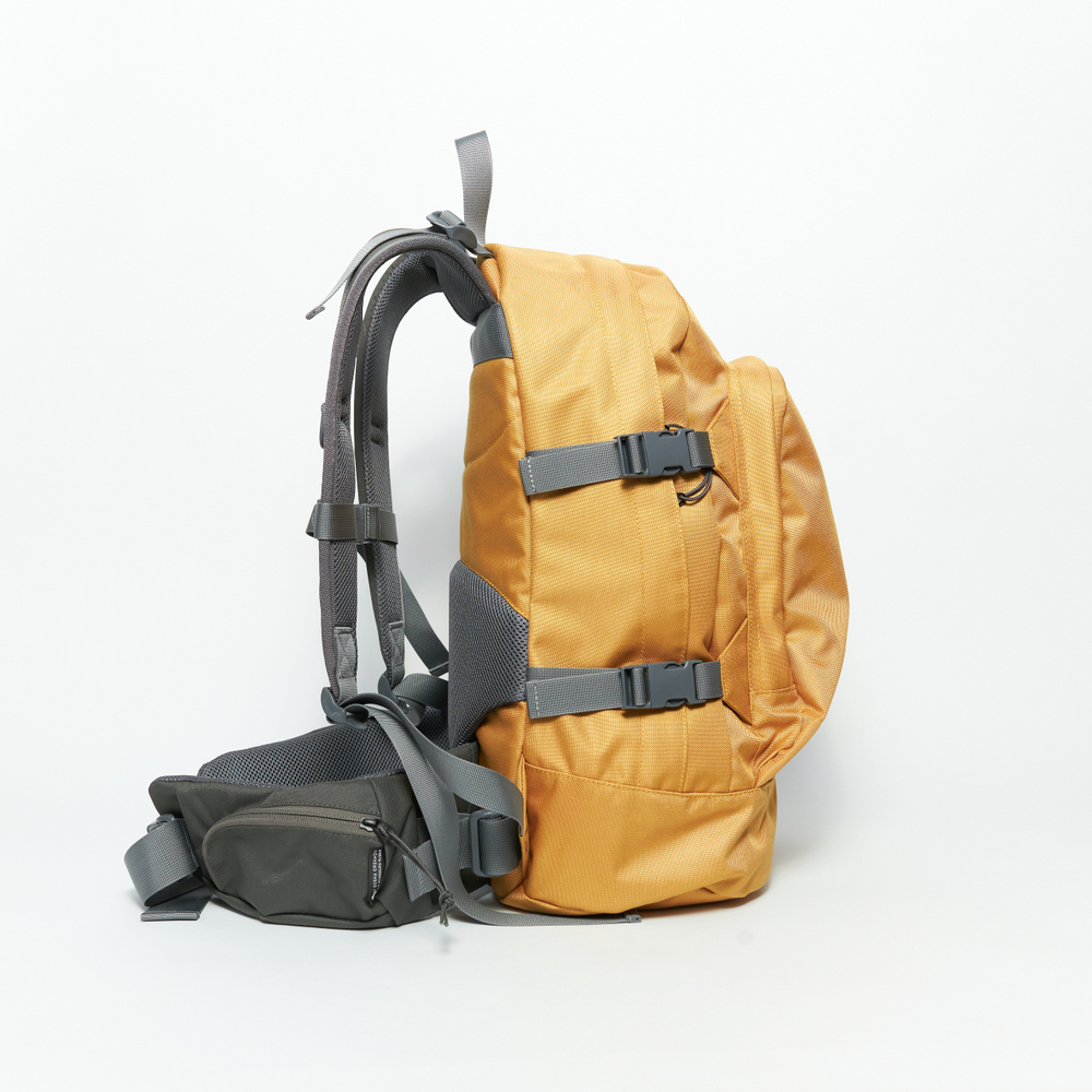 Рюкзак DNMC золотой