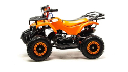 Квадроцикл MOTOLAND 50 Scorpion (2021 Г.)