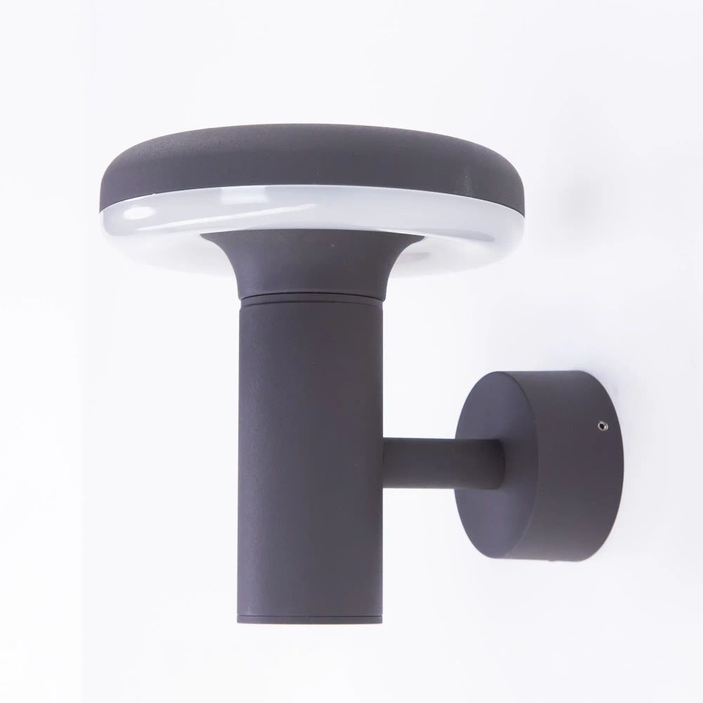 Citilux GARDA CLU01W LED Уличный настенный светильник Графит