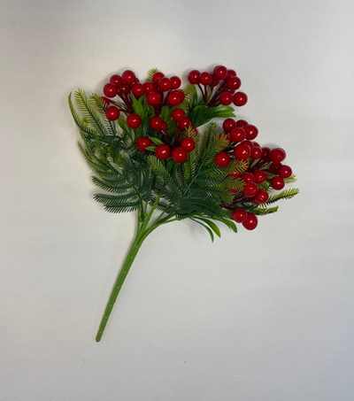 Куст красные ягодки