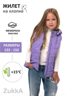 Жилетка утепленная мембрана с капюшоном