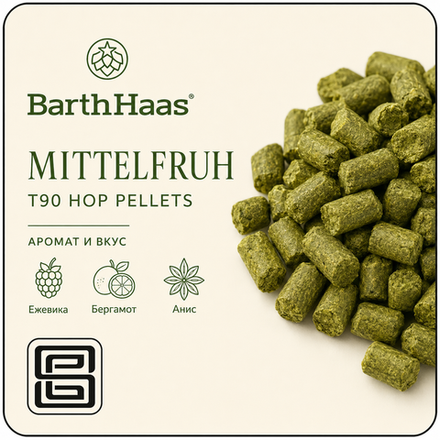 MITTELFRÜH