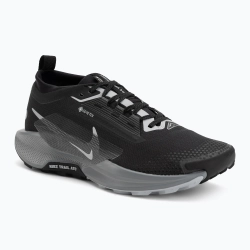 Кроссовки для бега Nike Pegasus Trail 5 GORE-TEX black/cool grey/anthracite/wolf grey