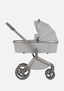 Anex Детская коляска Flo 2 в 1 Frossy