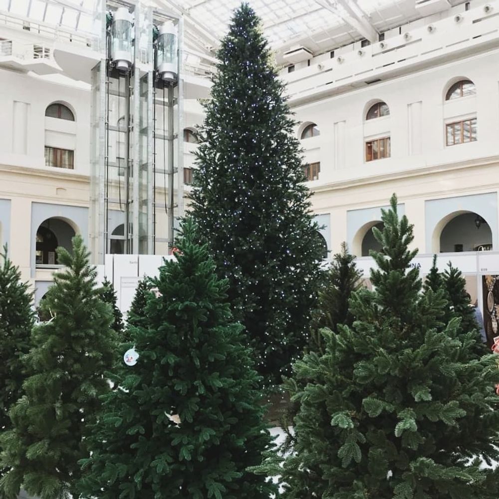 Большая елка с гирляндой «Сказочная светодинамическая» (литая+пвх) 6 м