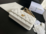 Chanel Bag 19 cm