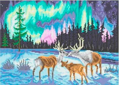 Г-5156 Северное сияние