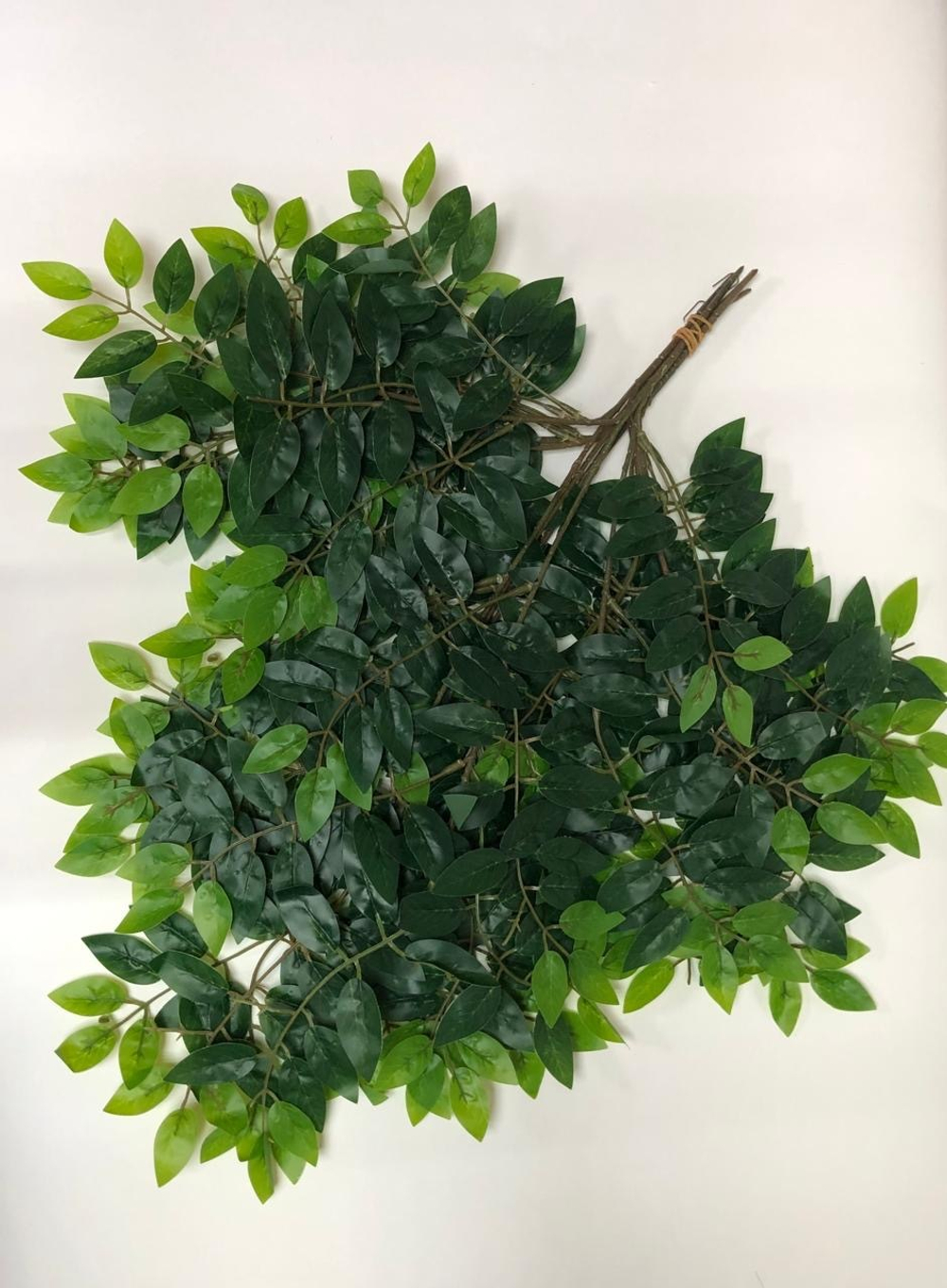 Листья фикус мелколистный