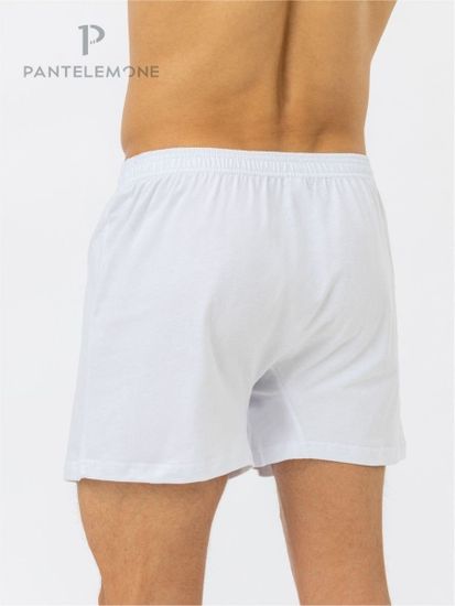 Трусы мужские семейные для больших мужчин Pantelemone PMBB-039, белый