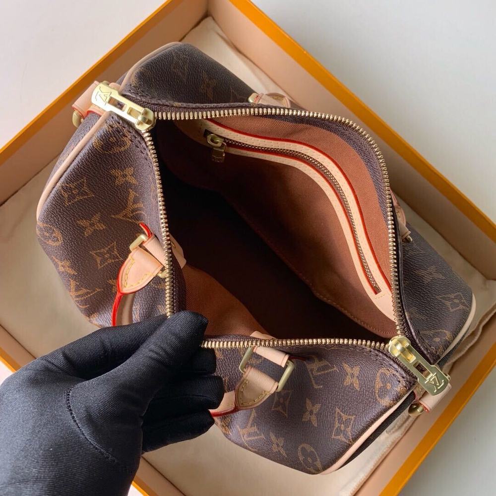 Louis Vuitton Speedy 25
