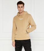 Худи Tommy Jeans - коричневый(DM0DM18610)