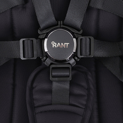 Детская коляска Rant Teo Black Chrome 2 в 1 Black