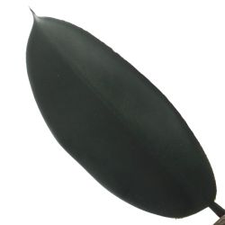 GAEM Цветочная композиция "Фикус", L50 W50 H137 см