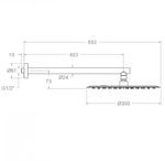 Тропический душ настенный круглый 300мм нерж. сталь BH02RM300GR графит