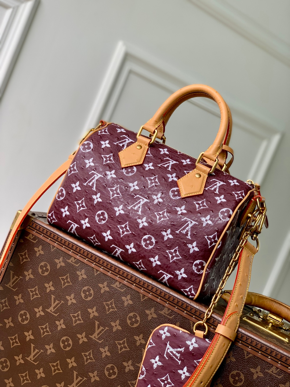Louis Vuitton Speedy P9 Bandouliere 25