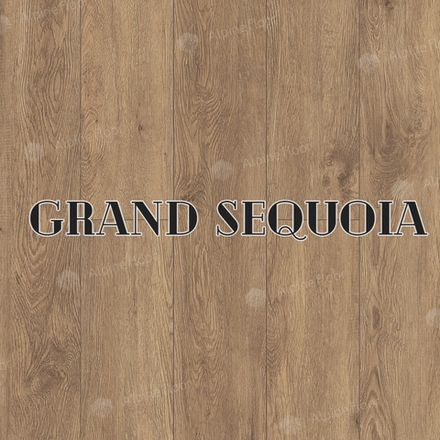 GRAND SEQUOIA