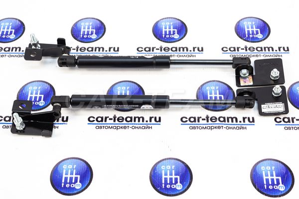 Газовые упоры багажника "ТехноМастер" на Лада Гранта, Гранта Fl, Датсун седан