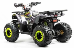 Квадроцикл Motoland 125 WILD A