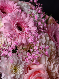 Начало любви *