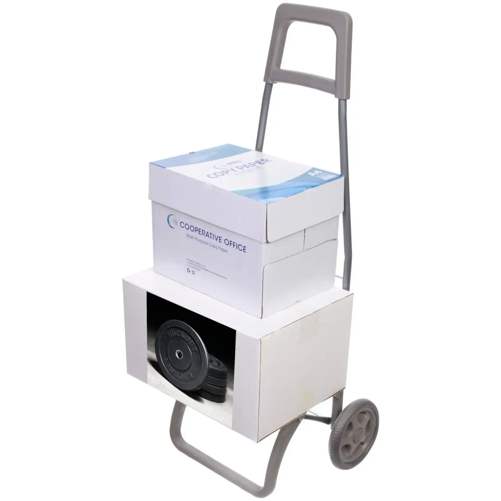 Тележка хозяйственная с сумкой (93*40*30см, колеса 15см,грузоподъемность до 40 кг) синяя