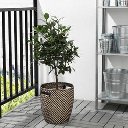 IKEA RÅGKORN  (ИКЕА РÅГКОРН)  -  Крышка для цветочного горшка, крытый/открытый, темно-серый/бежевый, 24 см