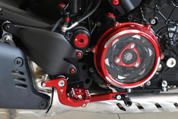 PEC04-RP9L5 CNC RACING ADJ. GEAR/BRAKE LEVERS COMP (DVL V4)