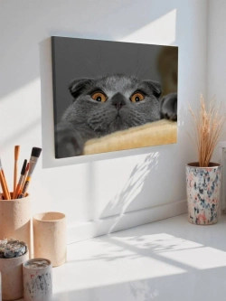 Картина на стену 40 X 50 Кот