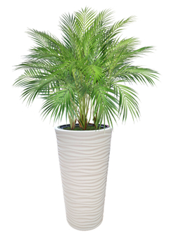Искусственная Пальма кустовая 110см в высоком круглом белом кашпо