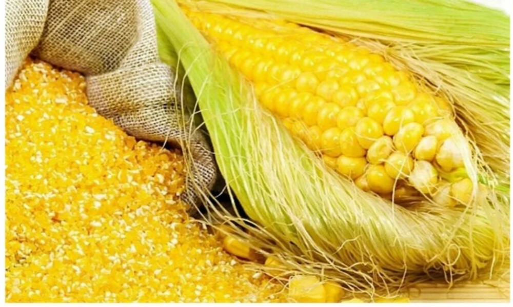 Кукуруза дробленая, 40 кг