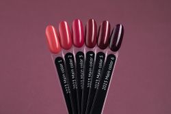 Monami, Гель-лак Main color 6