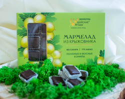 Мармелад из крыжовника в горьком шоколаде без сахара, 195 г