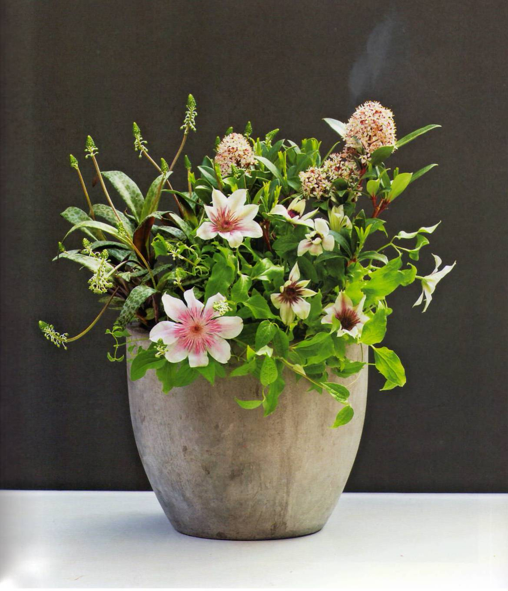 The Plant Recipe Book: 100 Living Arrangements for Any Home in Any Season
