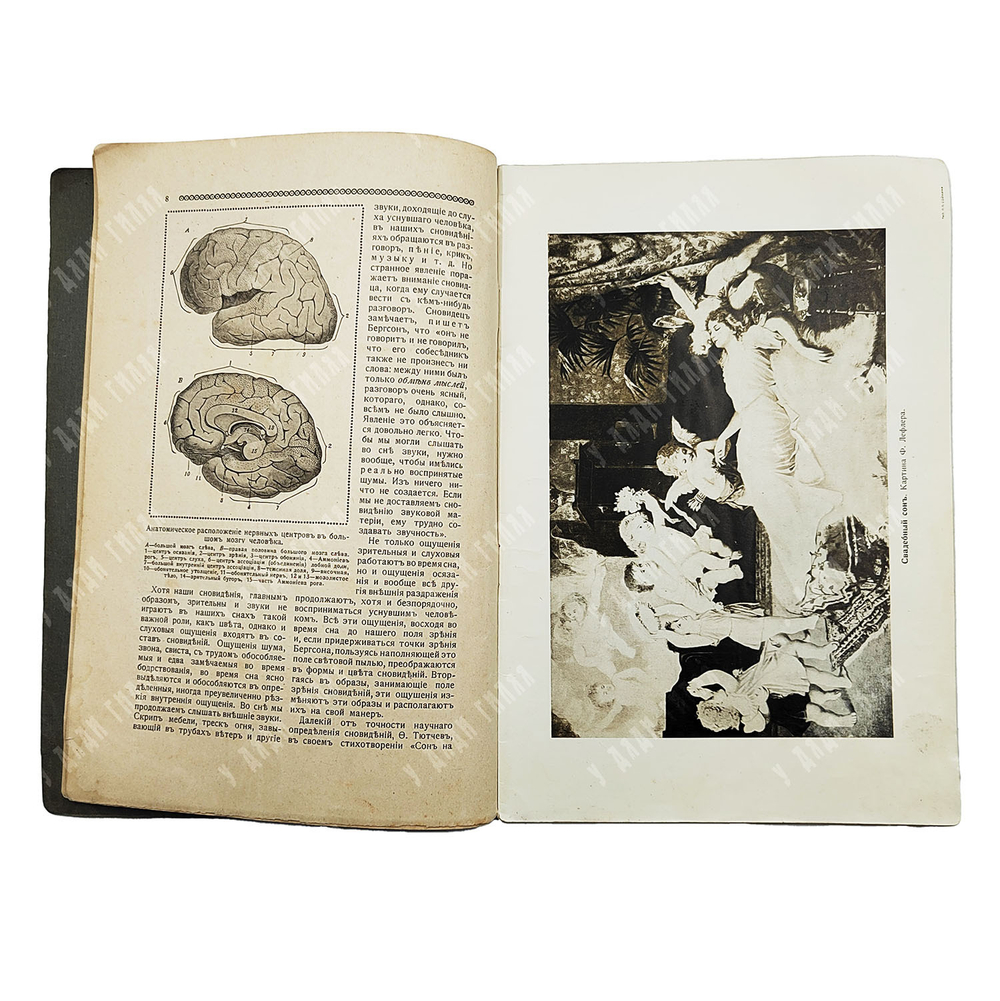 Знание для всех. Общедоступный журнал для самообразования. Петроград: тип. П. П. Сойкина, 1916