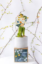 Первоцветы в бетонном кашпо с открыткой