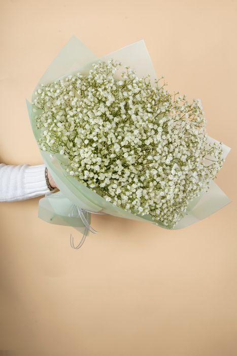 Букет из белой гипсофилы