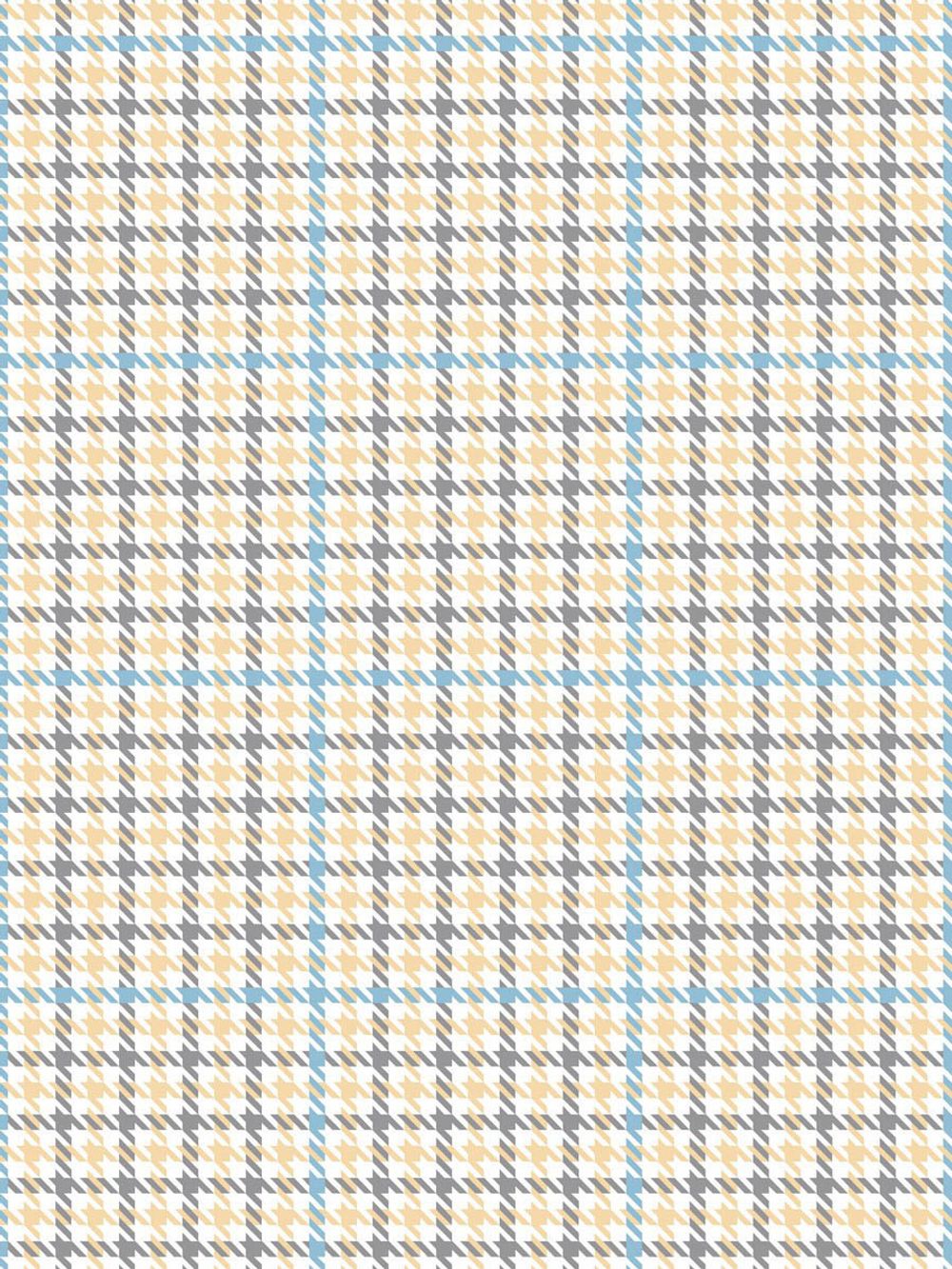 Постельное белье Сказка "Гусиная лапка" евро Наволочка 50х70 см 2 шт Простынь на резинке 180х200 см Пододеяльник 200х215 см, перкаль