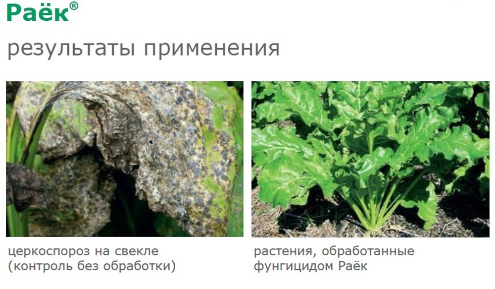 Фунгицид Раек, КЭ (250 г/л), 1 л