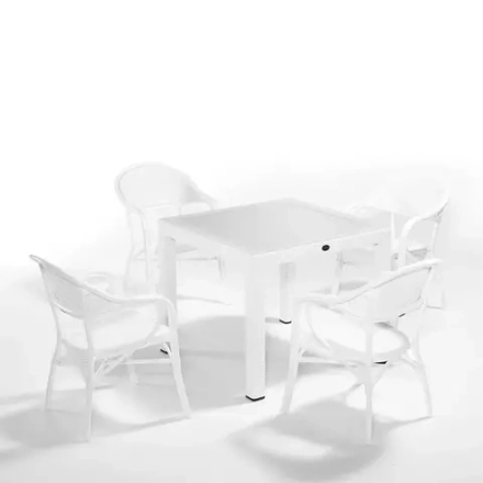 Nirvana NVS-049 set of 4 White (Обеденная группа стол 1шт, стулья 4шт) , Novussi