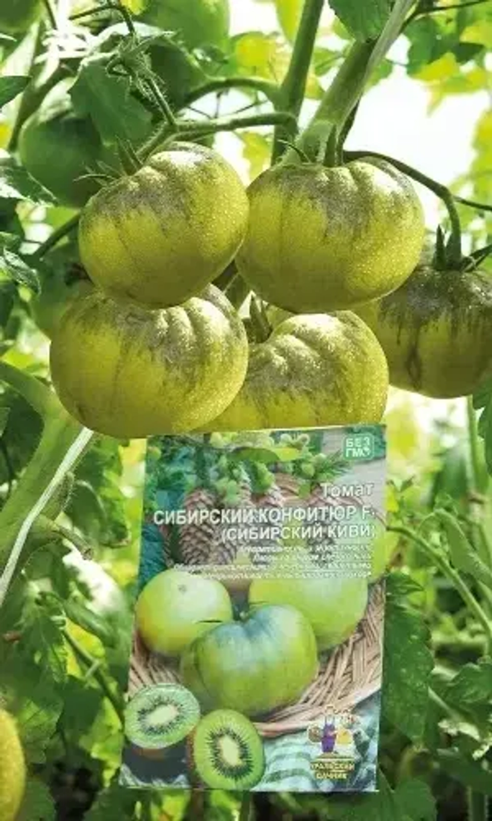 Семена Томат Сибирский конфитюр F1 (Сибирский киви) 20 шт (УД) Е/П Б/Ф