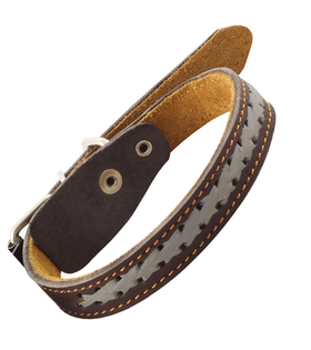 Ошейник двойной кожаный "Коса светоотражающая", 20*450мм, Gamma