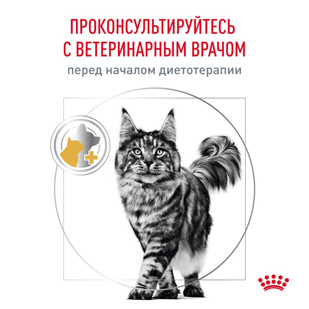 Royal Canin Urinary S/O Moderate Calorie Feline Корм сухой диетический для взрослых кошек 1,5 кг