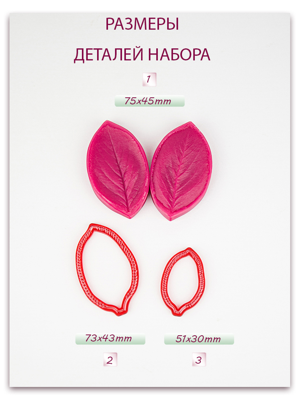 Лист аронии малый (черноплодная рябина)