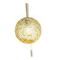 Подвесная люстра ST Luce Arcobalino SL1152.253.08