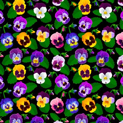 Цветы Анютины глазки