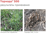 ГЛИФОСАТ Торнадо 500,ВР (500г/л)