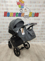 Коляска модульная Adamex Nola Deluxe N-SA32