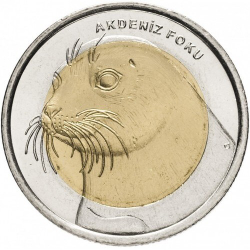 Тюлень-Монах