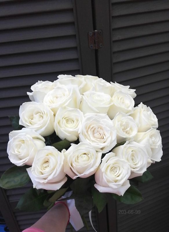 Букет из 19 голландских роз 60 см ( цвет роз на выбор) #11825