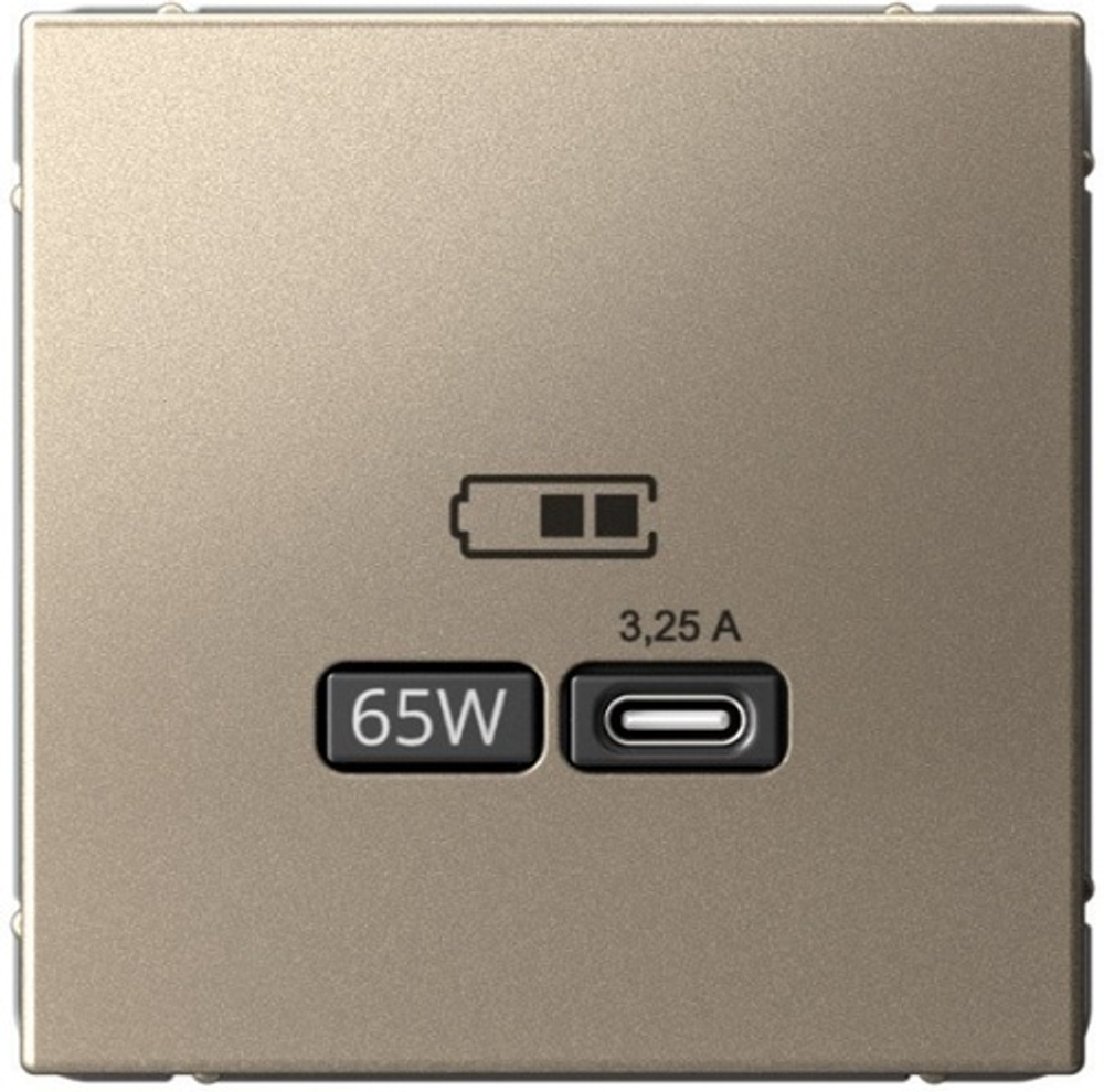 Розетка USB  Systeme Electric GAL000527